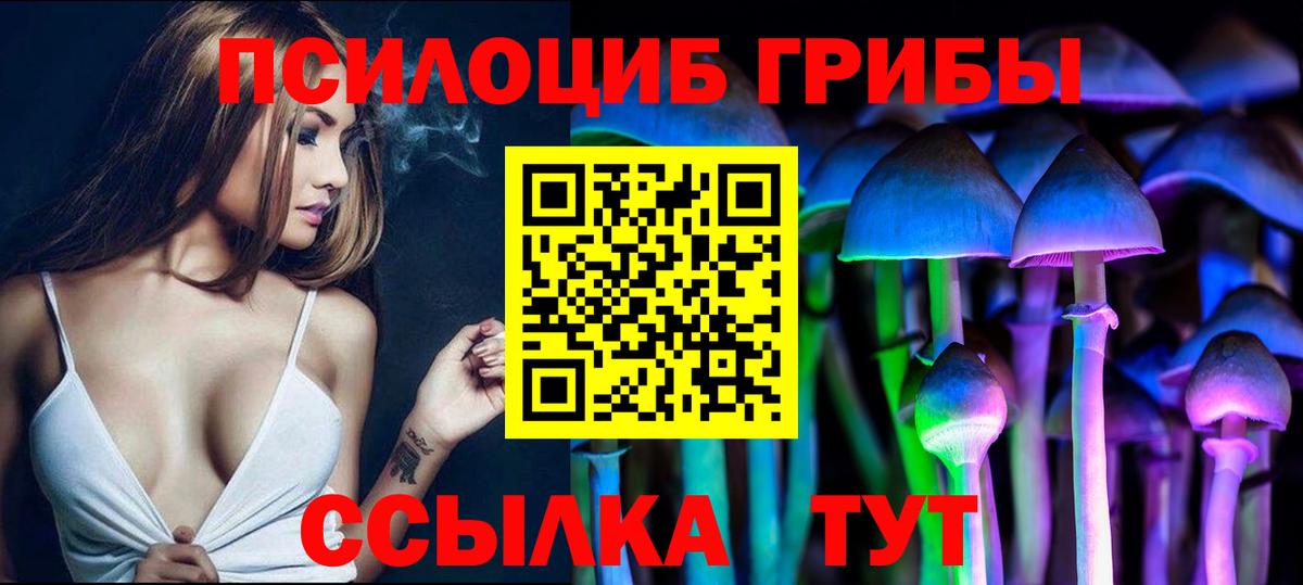 Семёнов  Псилоцибиновые грибы Psilocybe  Вход с VPN 